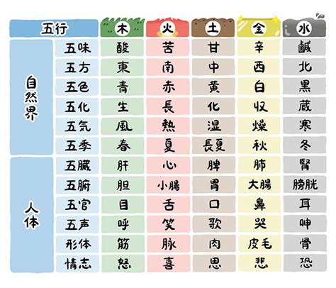 五行論 表|【まとめ！】五行学説と五行式体表 